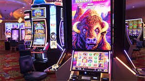 shal777 Live Casino
